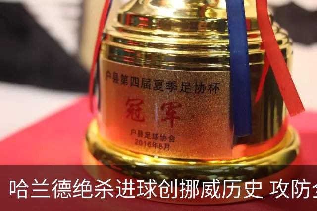 哈兰德绝杀进球创挪威历史 攻防全能将考验桑巴军团
